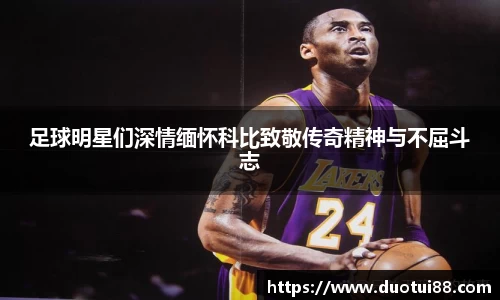 万博(max·中国)体育官方网站